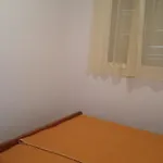 Sveta Nedilja 11433c